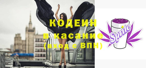 сатива Вязьма