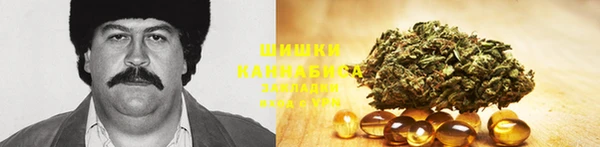 сатива Вязьма