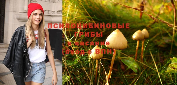мдпв Вязники