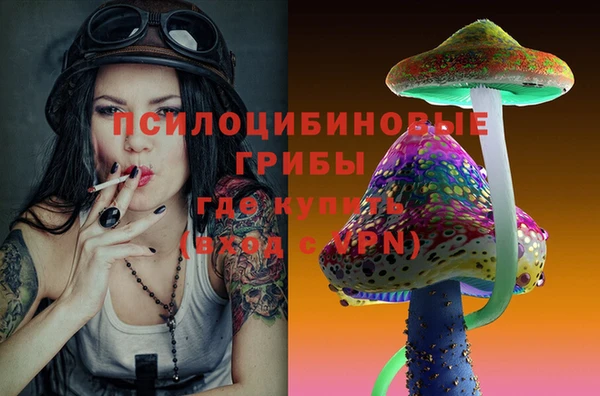 сатива Вязьма