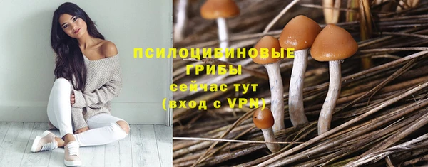 сатива Вязьма