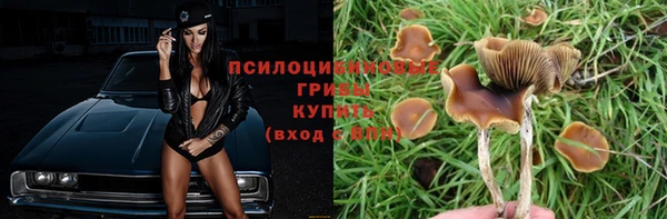 сатива Вязьма