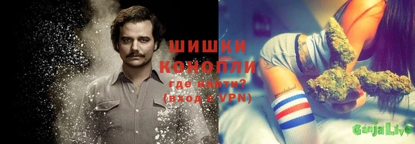 кокс Вяземский