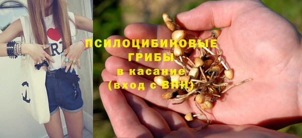 сатива Вязьма