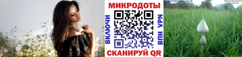 blacksprut сайт Серпухов Псилоцибиновые грибы MAGIC MUSHROOMS